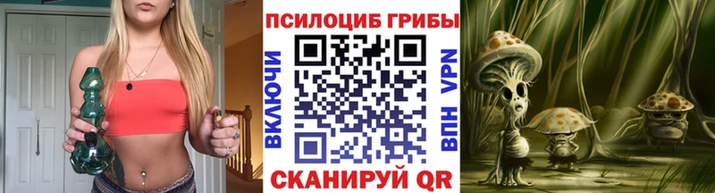 Псилоцибиновые грибы Psilocybe Балабаново